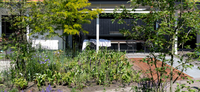 ökologische Outdoor-Küche